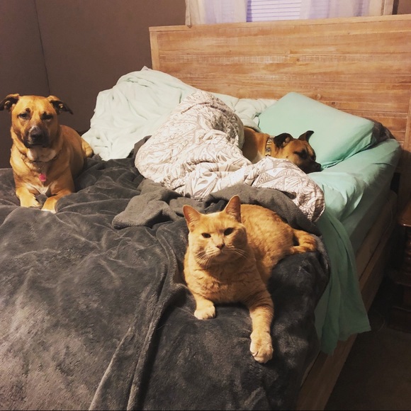 Meet your Posher, Sarah - Picture 5 of 7